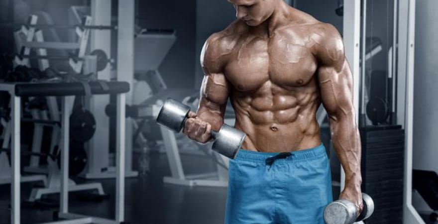 SAIBA TUDO SOBRE O DESENVOLVIMENTO DA FORÇA MUSCULAR